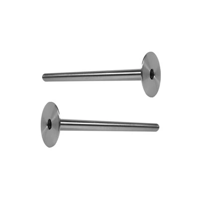 Tiwb Diogelu Tantalwm Thermocouple